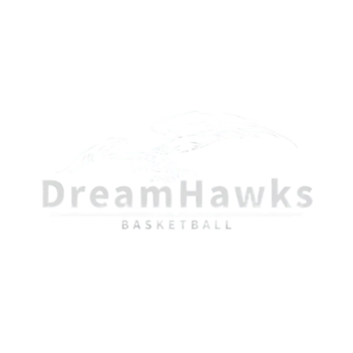 DreamHawks公式ロゴ